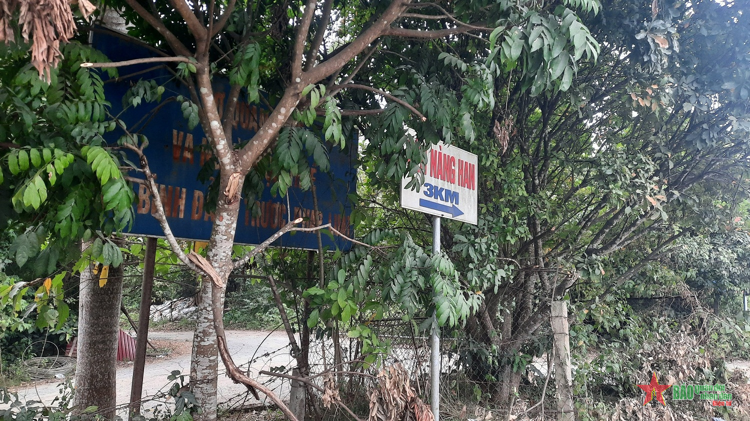 Tấm pa nô trong tán cây